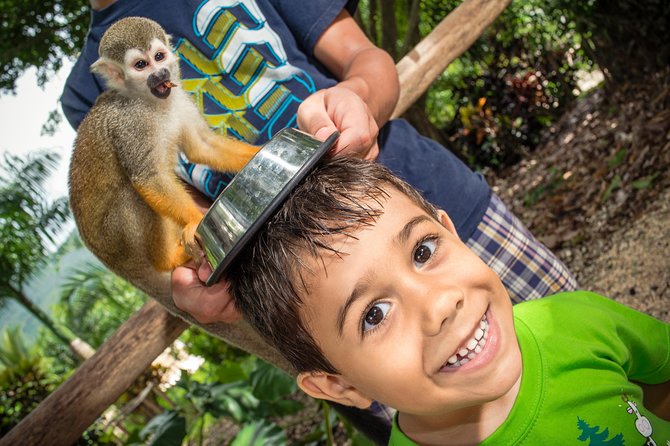 Jungle Buggies and Monkeyland from Punta Cana - Casa del Coco (coconut oil) and the local-product stops