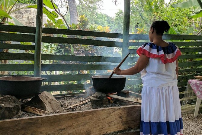 Jungle Buggies and Monkeyland from Punta Cana - Price and value: is $179 worth it?