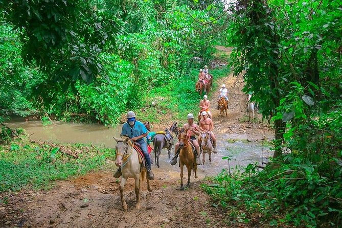 Jungle Buggies + Zilplining + Horseback Ride + Countryside + Macao Beach - Lunch, fruit, and a cigar tasting stop that is short but fun