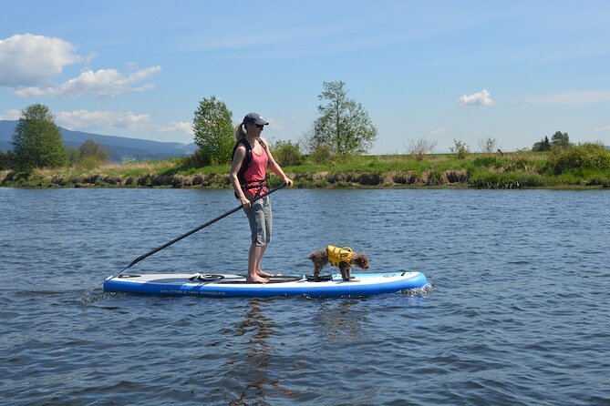 Kayak or Paddleboard Rentals Sosua , Cosita Rica, Neptuno Beach - Beach time at Sosua, Playa Dorada, Puerto Plata, and Neptuno Beach
