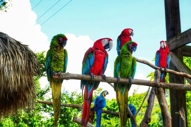 La Hacienda Park Tour - Key things to know before you go