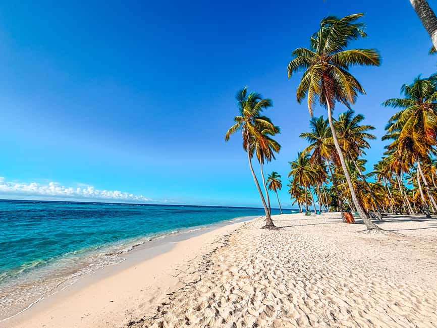La Romana: Saona Crusoe VIP for cruise guests - Mano Juan village plus turtle conservation work