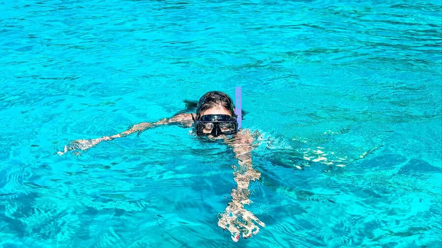 La Romana: Saona Crusoe VIP for cruise guests - Mangroves: learn the ecosystem, then keep it protected