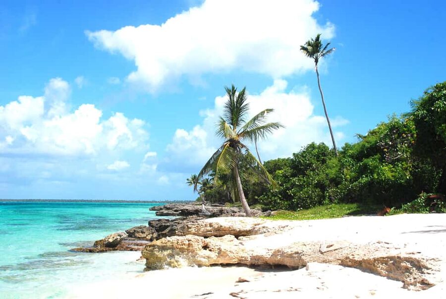 La Romana: Saona Crusoe VIP for cruise guests - Saona’s Natural Pools: starfish snorkeling on a sandbank