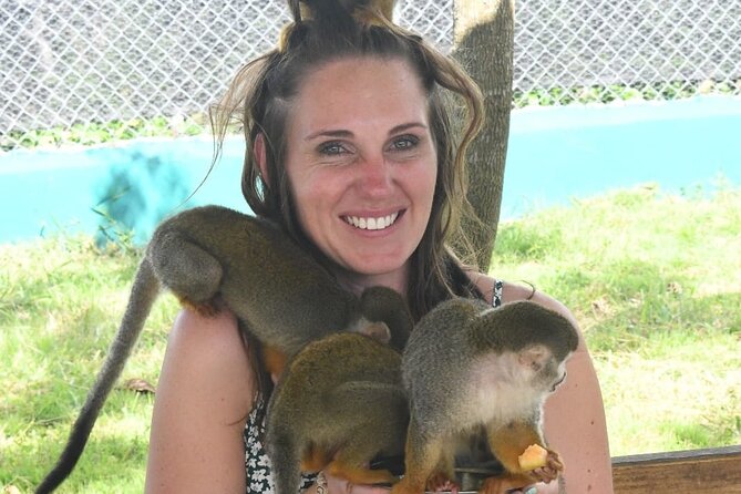 land of monkeys and silver port city tour - Macaws and the food theme: why this place works even for non-animal people