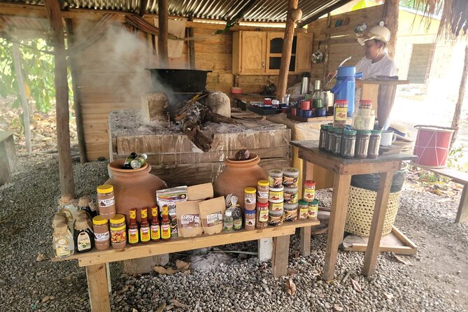 land of monkeys and silver port city tour - Del Oro Chocolate Factory: see organic cocoa become a bar