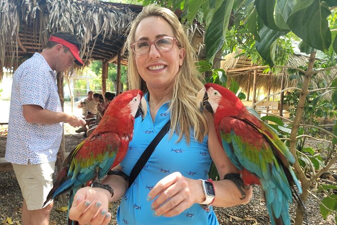 land of monkeys and silver port city tour - Walking the colorful streets: Calle de las Sombrillas and the photo-friendly center