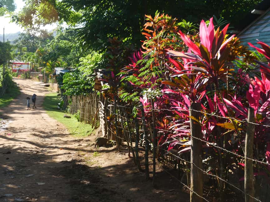 Las Terrenas: El Limón Waterfall Trekking Tour in Samana - Key points before you go