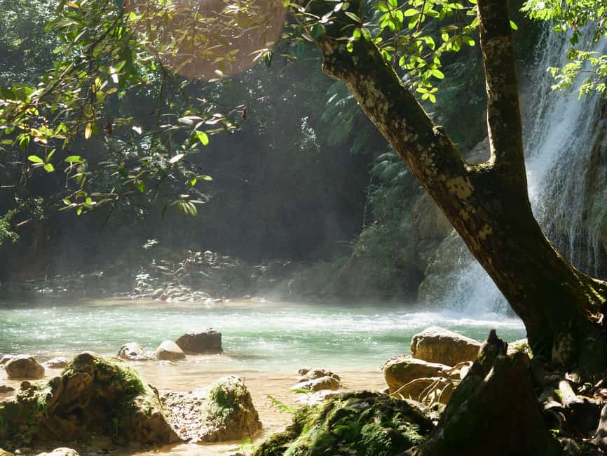 Las Terrenas: El Limón Waterfall Trekking Tour in Samana - Snacks, cacao and coffee, and asking about Mamajuana