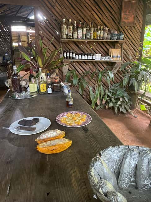 Las Terrenas: Private Coffee Trail ATV Tour in Samana - Meeting point at KITEWORLD in the Afreeka hotel area