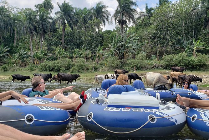 Lazy River Tubing Cabarete, Dominican Republic - What Happens at La Hoja Beach, and Why It’s More Than a Break
