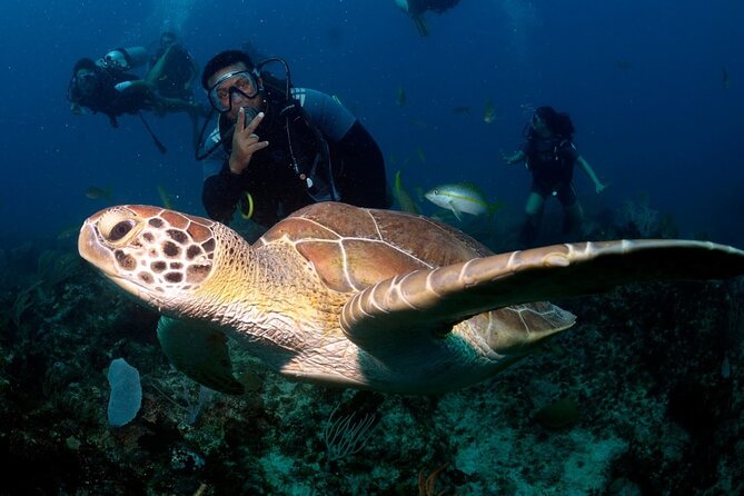 Learn to Scuba Dive in Punta Cana - Key Highlights You Should Know