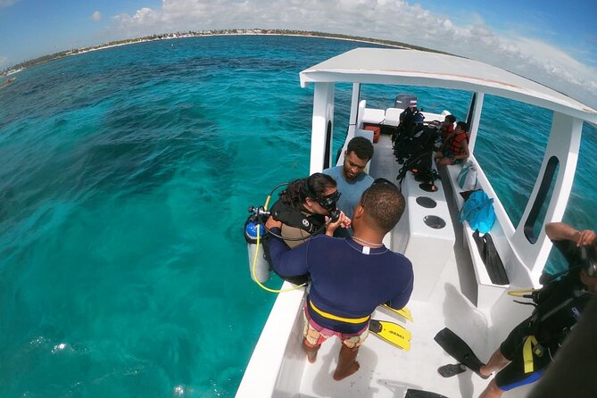 Learn to Scuba Dive in Punta Cana - What You Can See: Fish, Octopus, and More