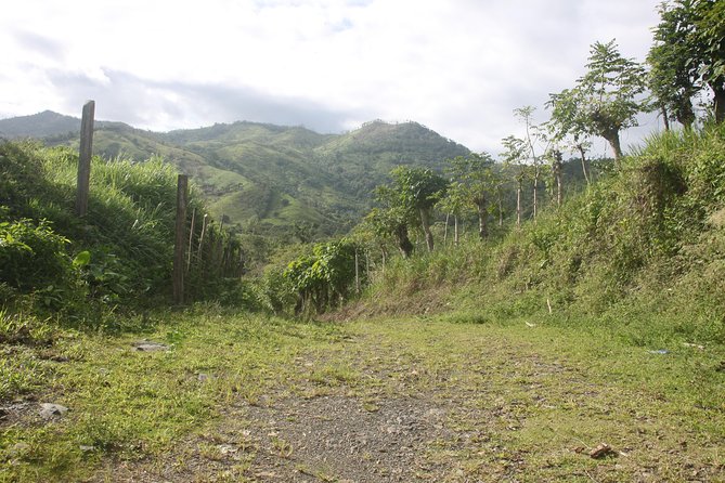 Let's do hiking in Punta Cana - Key Things That Make This Punta Cana Hike Worth Your Time