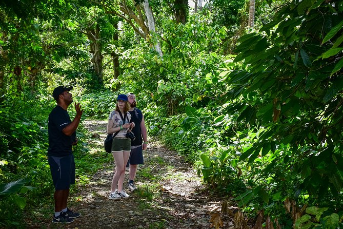 Let's do hiking in Punta Cana - Punta Cana Mountain Views That Actually Feel Remote