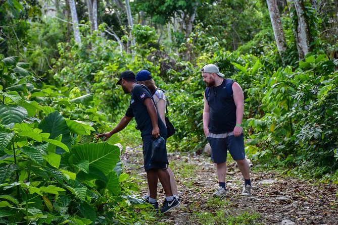 Let's do hiking in Punta Cana - Mud, Streams, and Steep Bits: Gear That Actually Matters