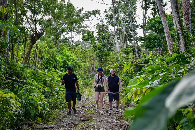Let's do hiking in Punta Cana - Learning the Ecosystem: What Guides Like Wilkin and Jose Share