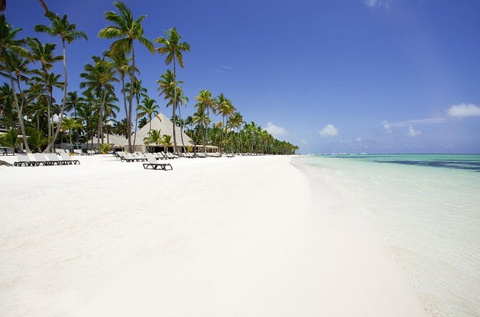 Live Aqua Beach Resort Punta Cana - Round Trip Shuttle - Punta Cana Airport - Timing: The 3.5-Hour Return Rule