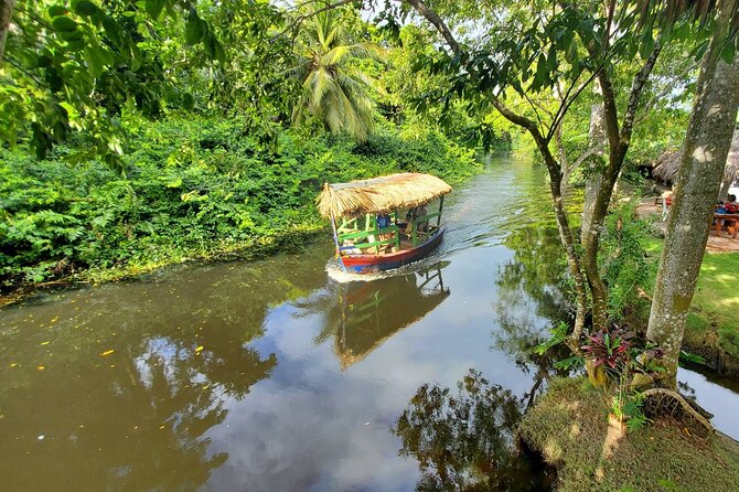 Local Excursion || Jungle Safari Excursion - Jungle Safari in Cabarete: What makes this one worth your time