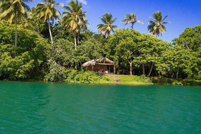 Local Excursion || Jungle Safari Excursion - Price and what you actually get for $95 per person