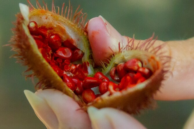 Local Excursion || Jungle Safari Excursion - Stop 1: Ecological park, mini zoo, and local fruits