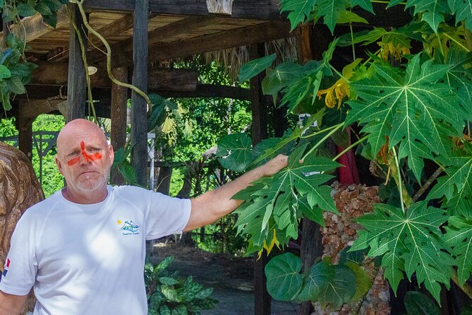 Local Excursion || Jungle Safari Excursion - Who this jungle safari suits best