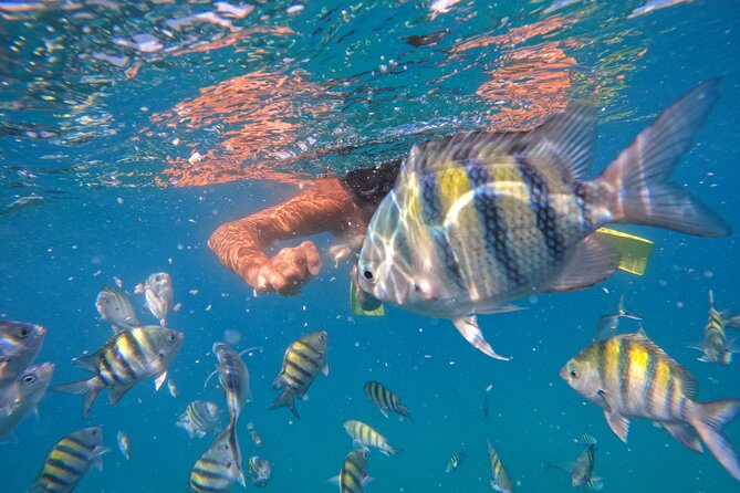 Local Excursion | Paradise Island Punto Rucia & snorkeling - Cabarete mornings, and why you’ll feel the early start