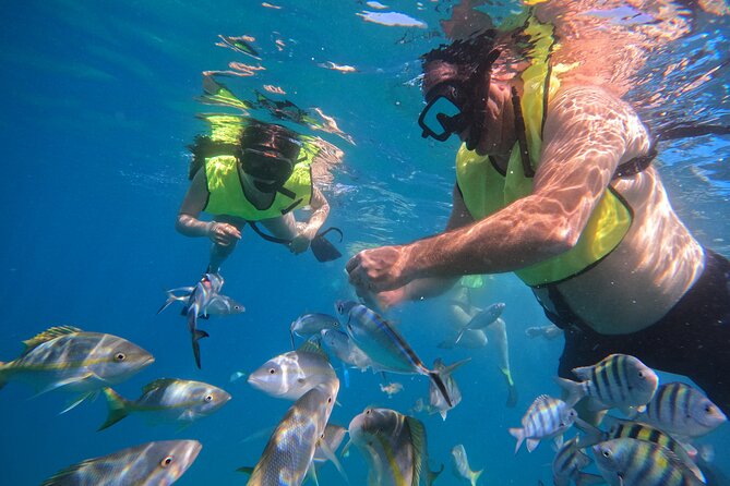 Local Excursion | Paradise Island Punto Rucia & snorkeling - Mangroves and mangrove lagoon on the return, plus Monte Cristi National Park
