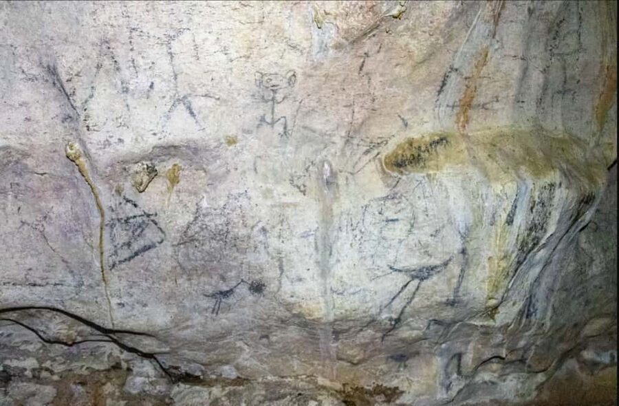 Los Haitises: Boat + Lunch at the beach & Natural pools - Caves With Taino Petroglyphs: Cueva de la Arena and Cueva de la Linea