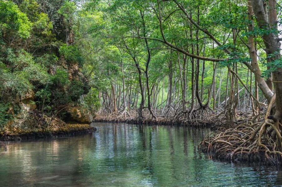 Los Haitises: Boat + Lunch at the beach & Natural pools - Cano Hondo Pools: Cool-Down Time in a Natural Setting