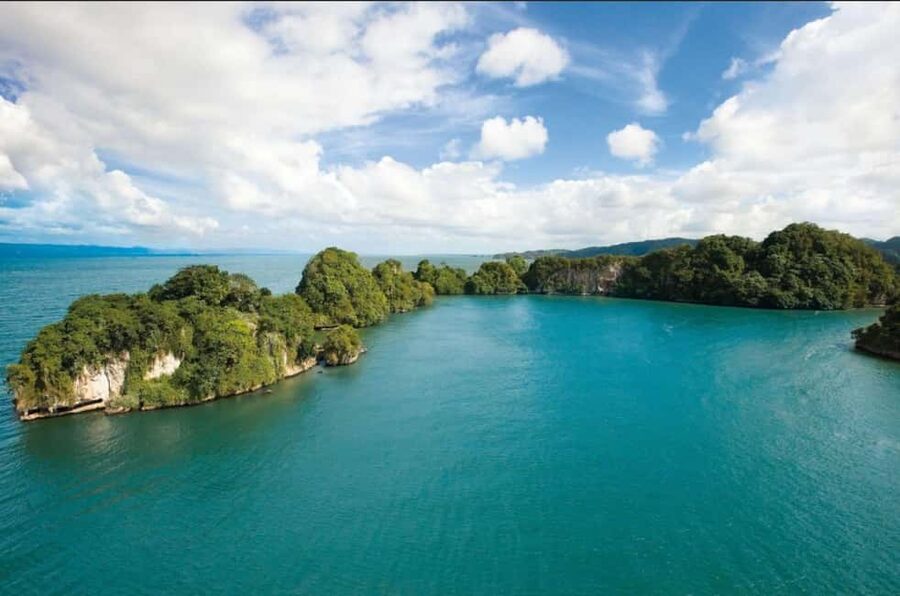Los Haitises Boat Ride + Caño Hondo Natural Pools - Price and Value at About $65: What You’re Really Buying