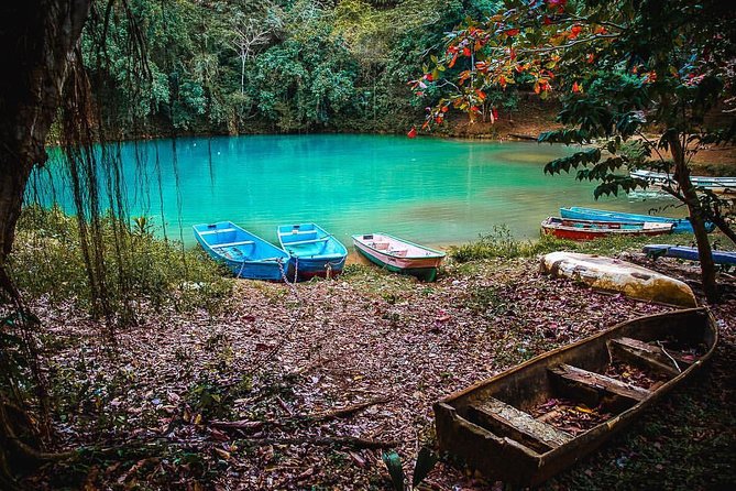 Los Haitises & Cayo Levantado (Lunch included, from Samana in Catamaran or Boat) - Key things to know before you go