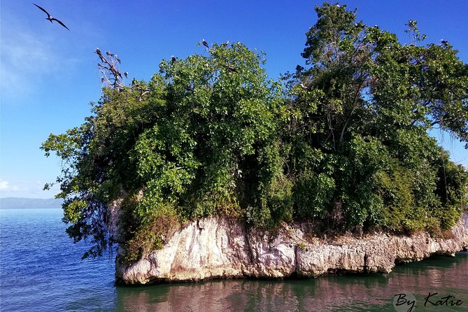 Los Haitises & Cayo Levantado (Lunch included, from Samana in Catamaran or Boat) - Price and value: is $68.93 a smart use of time?