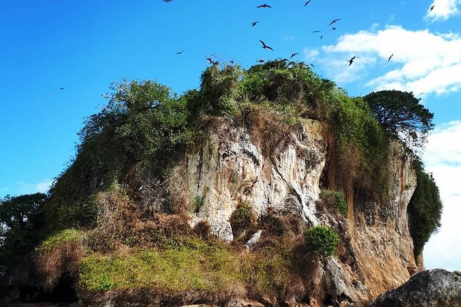 Los Haitises & Cayo Levantado (Lunch included, from Samana in Catamaran or Boat) - Timing and organization: how to protect your day