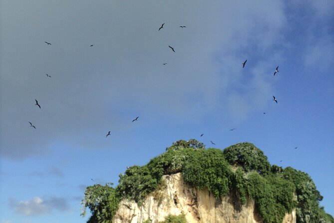 Los Haitises National Park and Cayo Levantado Island Day Trip from Samana - Cayo Levantado (Bacardi Island): Lunch and Beach Time That Feels Like a Reward