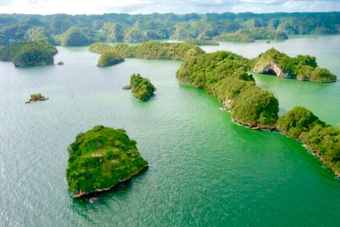 Los Haitises National Park and Cayo Levantado Island Day Trip from Samana - Price and Value: Why $99.99 Can Work Here