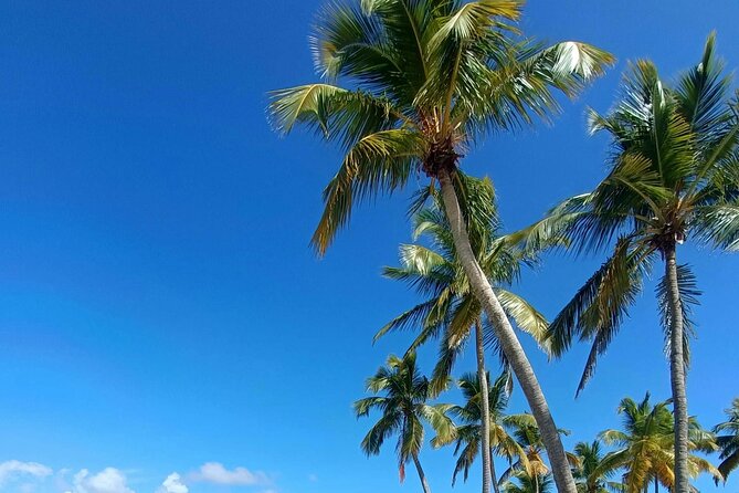 Los Haitises National Park, Montaña Redonda & Bacardi Island - How I’d Do It: Simple Tips for Better Water Time