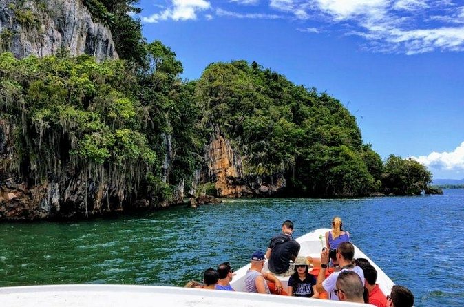 Los Haitises National Park Tour from Las Terrenas or Samana (Half Day Trip) - Caves and indigenous artwork: the most memorable stop