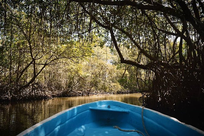 Los Haitises National Park Tour from Las Terrenas or Samana (Half Day Trip) - Crowds and comfort: setting expectations for a group tour