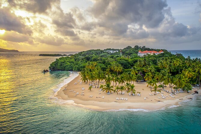 Los Haitises Park & Cayo Levantado: Samaná unforgettable Journey - Samaná Bay whale watching: the real attraction