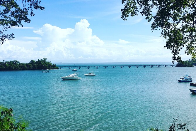 Los Haitises Park & Cayo Levantado: Samaná unforgettable Journey - Town of Samaná: the quick look that adds context