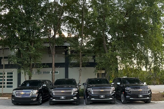 Luxe Black Car Transfer – Cap Cana, Bavaro & Punta Cana Airport - What the transfer includes, and what it does not