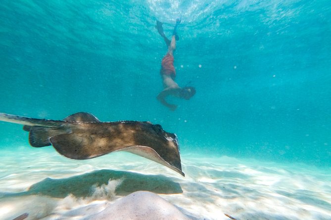 Marinarium Snorkeling Cruise from Punta Cana - Duration math: why this half-day can feel short in the water