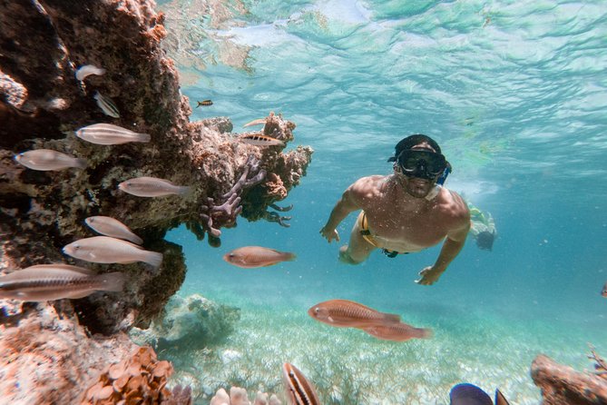 Marinarium Snorkeling Cruise from Punta Cana - The lagoon swim-stop: relaxing, snacks, and the depth question