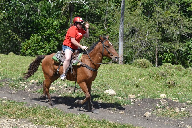 Mega Extreme Adventure: Horseback Riding, Ziplining and more - Lunch at the right moment: Dominican buffet and beverages included