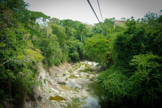 Mega Zip and Ride in Dominican Countryside - Fruit snacks and eco-adrenaline breaks that actually matter