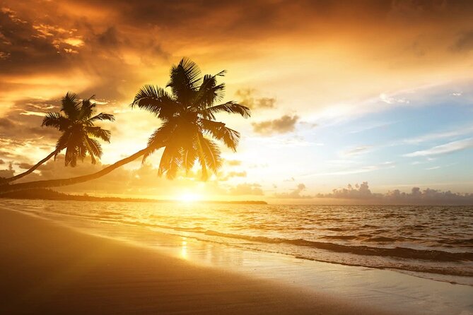 Meliá Caribe Beach - Round Trip Shuttle - Punta Cana Airport - Who this shuttle fits best