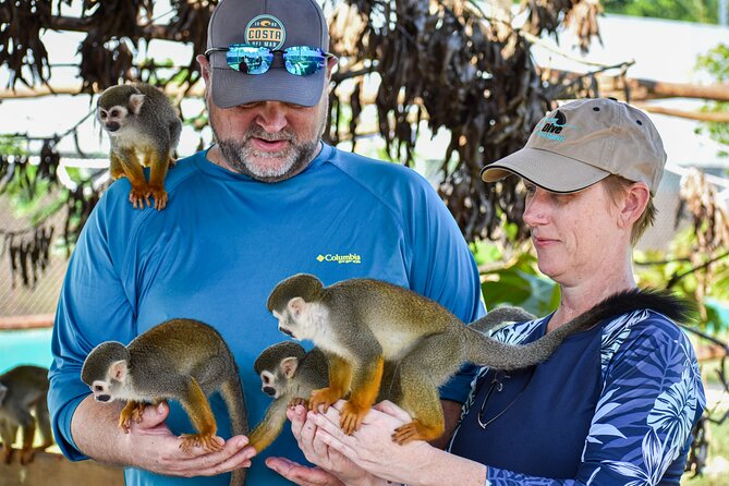 Monkey Encounter and Zip Line Tour from Amber Cove and Taino Bay - Price and value: what $124.99 really buys you