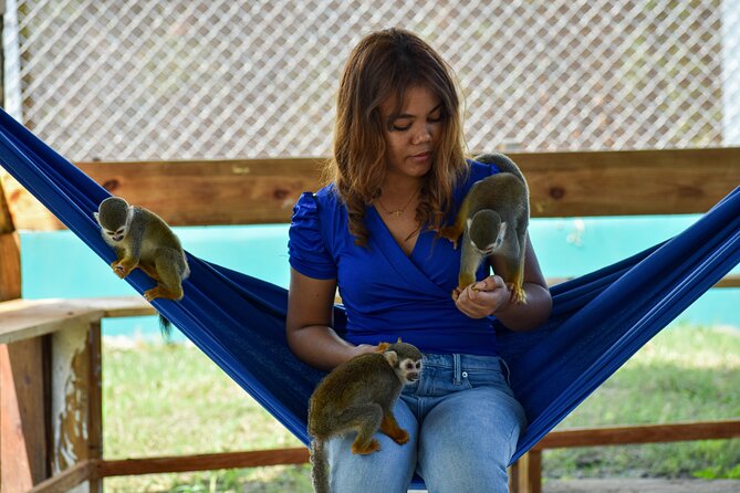 Monkey Encounter and Zip Line Tour from Amber Cove and Taino Bay - Who this tour suits best (and who should think twice)