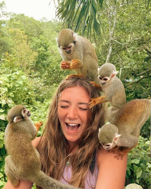Monkey Encounter + ATV Riding Adventure – Puerto Plata - Key Highlights You’ll Care About